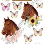 A4 tortaostya szett – Lovas 2