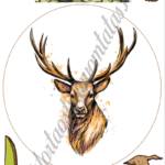 A4 tortaostya szett – Vadász 1