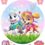 A4 tortaostya szett – Mancs őrjárat 5