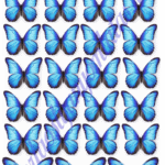 A4 tortaostya szett – Pillangós 2