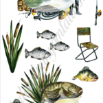 A4 tortaostya szett – Horgász 2