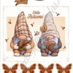 A4 tortaostya szett – Ősz 04