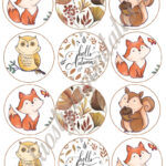 Cupcake korongok - Ősz 03