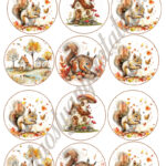 Cupcake korongok - Ősz 06