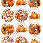 Cupcake korongok - Ősz 07