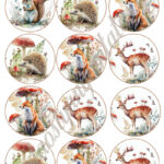 Cupcake korongok - Ősz 08