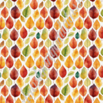 Habcsók / Csokoládé-transzferfólia - Ősz 01