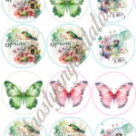 Cupcake korongok - Tavasz 1