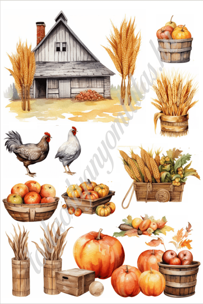 12 A4 tortaostya szett – Ősz 12 - Image 1