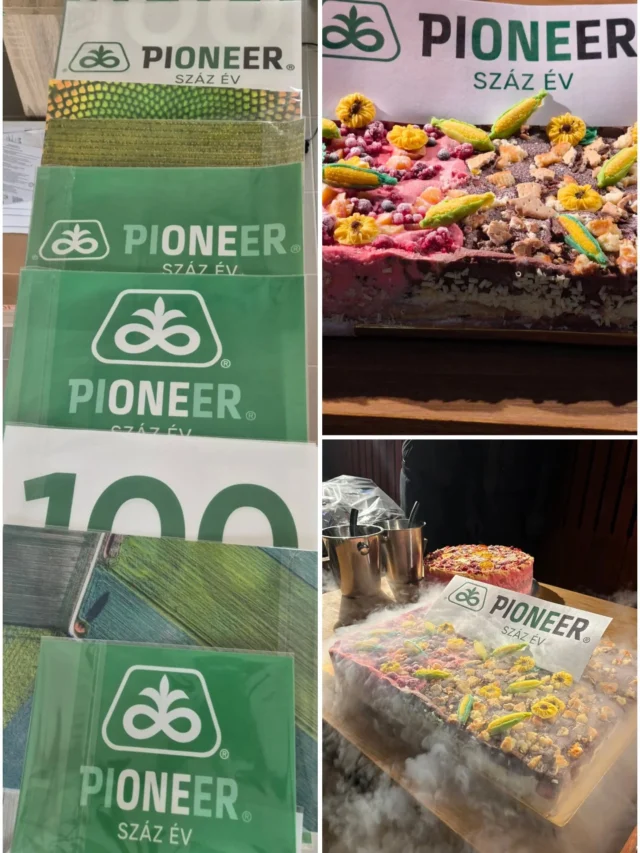 Egy ilyen jubileum nem hétköznapi. 💚
A Pioneer 100 éves évfordulójára készült tortán lévő ehető nyomtatást mi készítettük, pontosan a márka arculatához igazítva.Ha te is szeretnél ilyen látványos, logózott megoldásokat cégednek, segítünk! Gyorsan, pontosan, profi minőségben.
#tortaostyanyomtatás